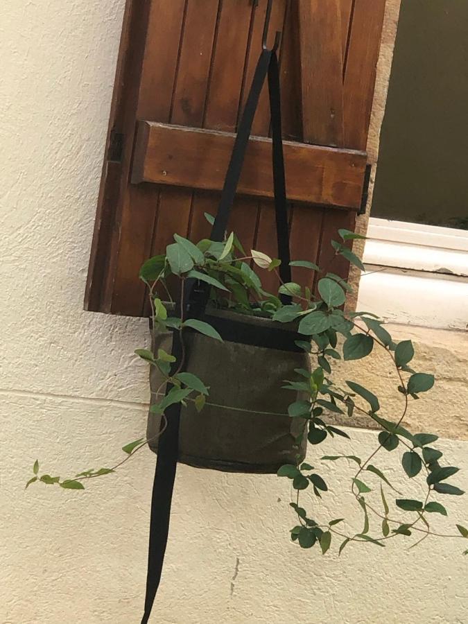 第戎Le Jardin Wilson公寓 外观 照片