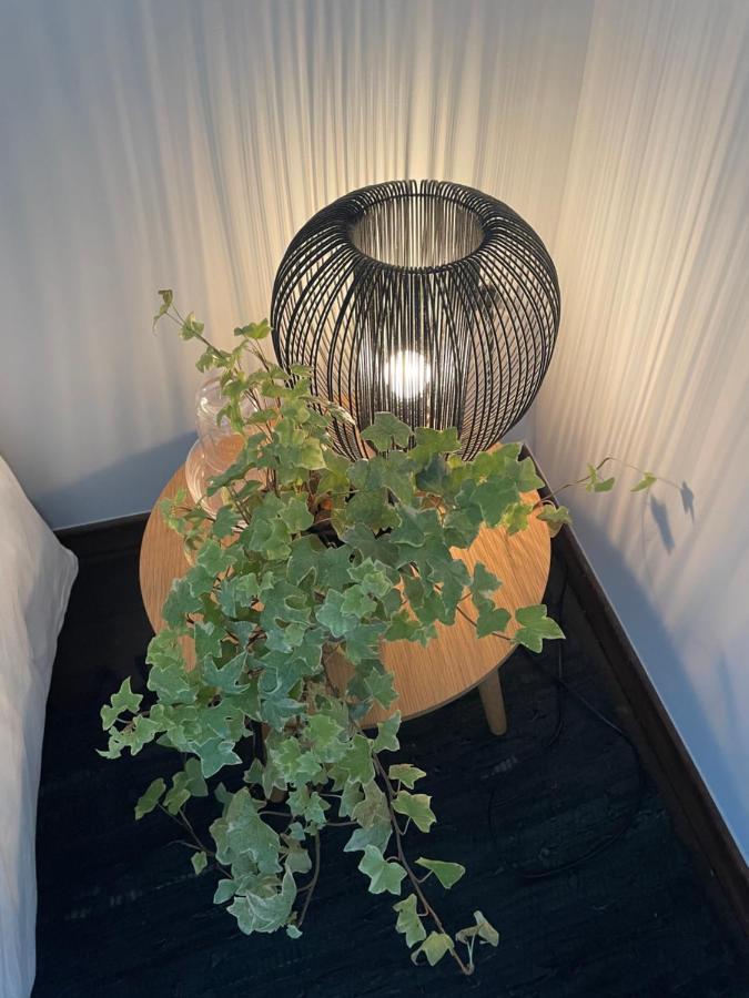 第戎Le Jardin Wilson公寓 外观 照片